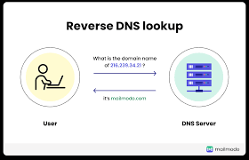 Reverse IP Lookup